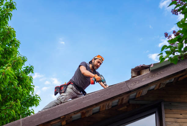 Best Solar Panel Roofing Installation  in Gainesville, VA